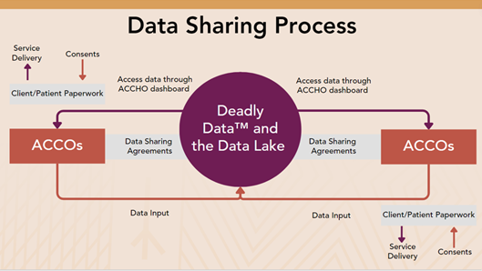 First Nations Data Sovereignty 